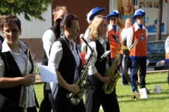 2010 Hoefefest Erbenheim 011