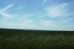 DIGITAL CAMERA