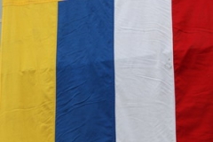 2010 Fastnachtsumzug Floersheim 001
