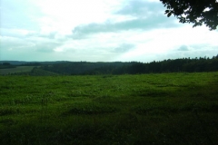 DIGITAL CAMERA