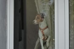 2010 Geburtstag Horst 036
