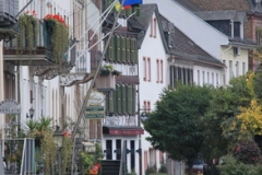2010 Kaub 069