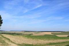 2010 Steckenroth 002