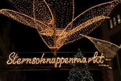 2010 Sternschnuppenmarkt 002