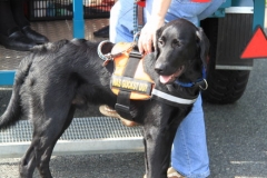 2010 Kerb Wallau 005