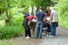 2010 Wandern 005
