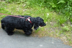 2010 Wandern 006