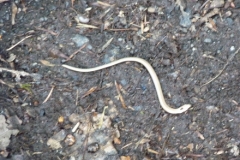 2010 Wandern 008