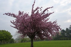 2011 Frankreich 044