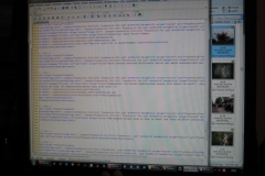Fertige Webmaster 001