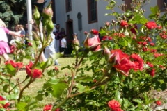 2011 Gemeindefest Wallau 008