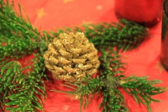 2011 Weihnachtsfeier 002