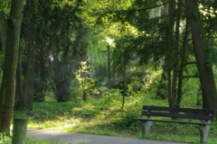 2012 Abschied Tobias 000