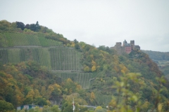 2012 Kaub 007