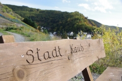 2012 Kaub 024