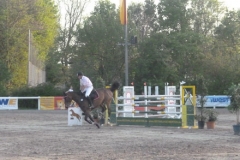 2012 Reitturnier Erbenheim 007