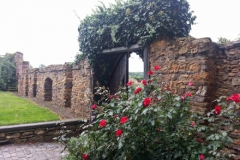 2013 Eltville 004