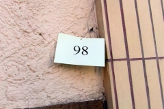2013 Fastnachtsumzug Floersheim 005