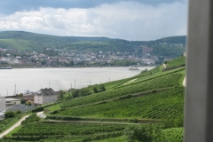 2014 Ruedesheim 010