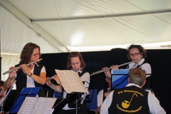 2014 Rosenfest 010