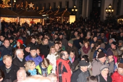 2014 Sternschnuppenmarkt 0042