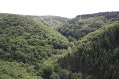 Ein Ausblick in das überwanderte Tal.