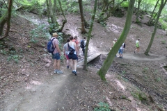 ... im Wald...