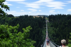 Majestätisch und erhaben ruht die Hängeseilbrücke über den Wipfeln.