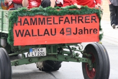 021 Wallau 2017