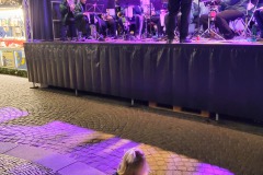 Auch der Abstandsbereich direkt vor der Bühne wurde vom Publikum in Beschlag genommen ;-)