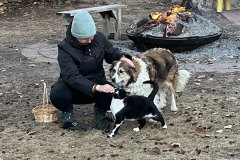 Ähh und natürlich auch Hunde und Katzen!