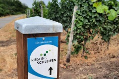 Danach ging es raus auf die Riesling-Schleife!