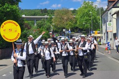 Wir füllen die Straße aus! Über 20 Taunusmusikanten im sonnigen Umzug...